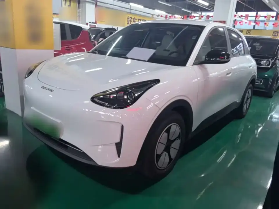 Geely Galaxy Starry Wish Edition 310km Youth Version 2025