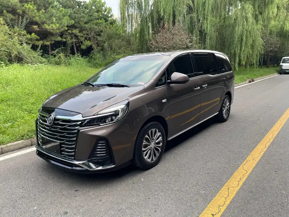 Buick GL8 Land Business Class 652T Luxury 2023
