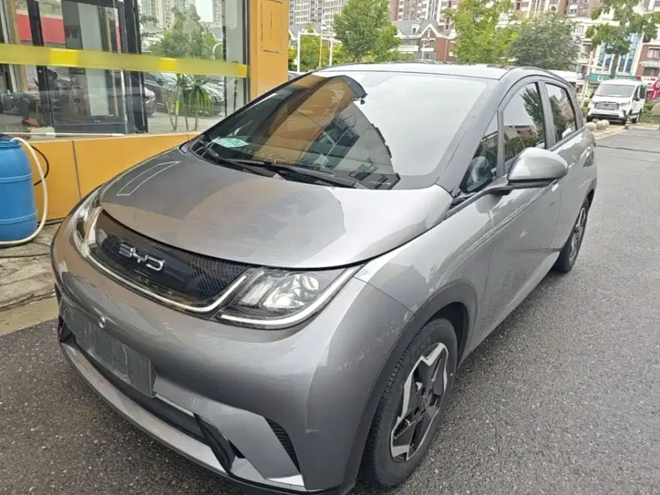BYD Dolphin Model 405km Fashion Edition 2022