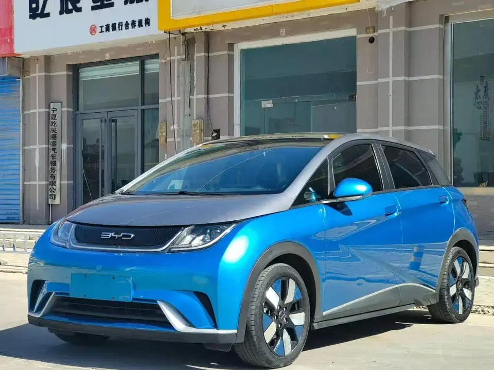 BYD Dolphin 401km Knight Edition 2022