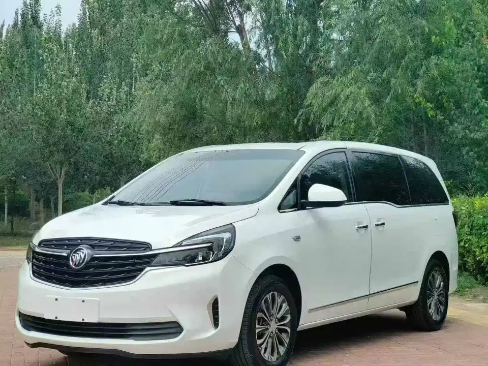 Buick GL8 Land Business Class 652T Luxury 2021