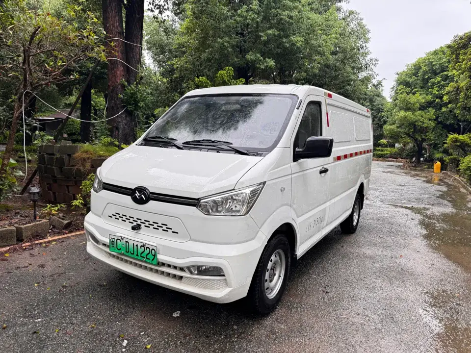 Singulato Gonow Shuai Ling Standard Range 41.64kWh Lishen Power 2023