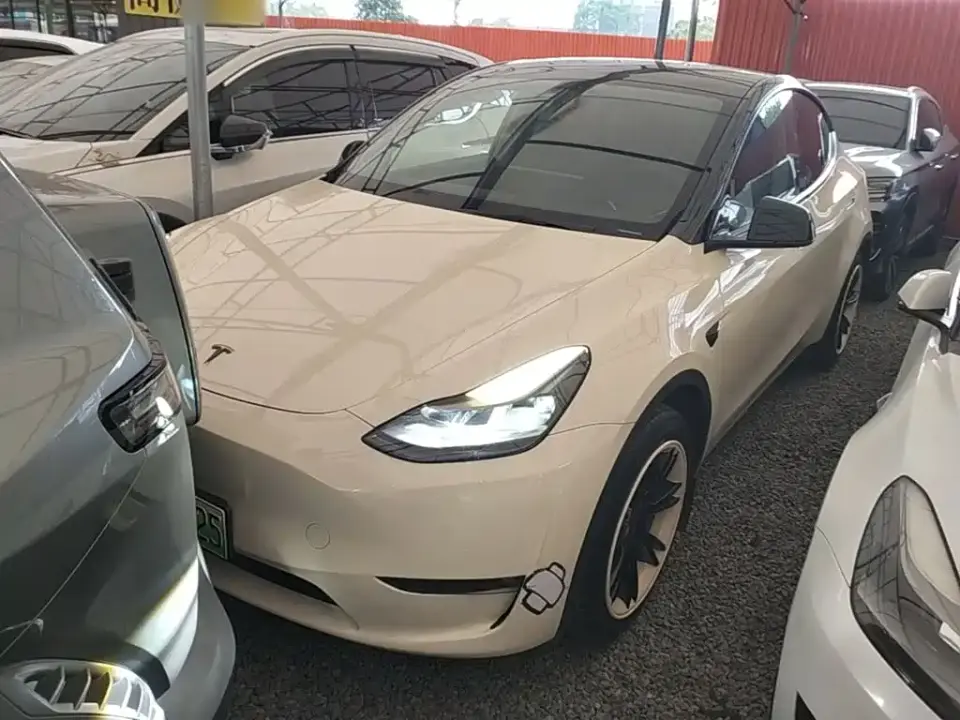 Tesla Model Y Standard Range Rear-Wheel Drive 2021