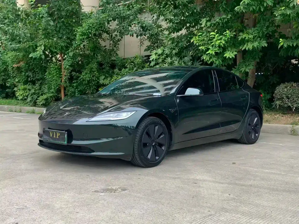 Tesla Model 3 Model Rear-Wheel Drive Edition 2025
