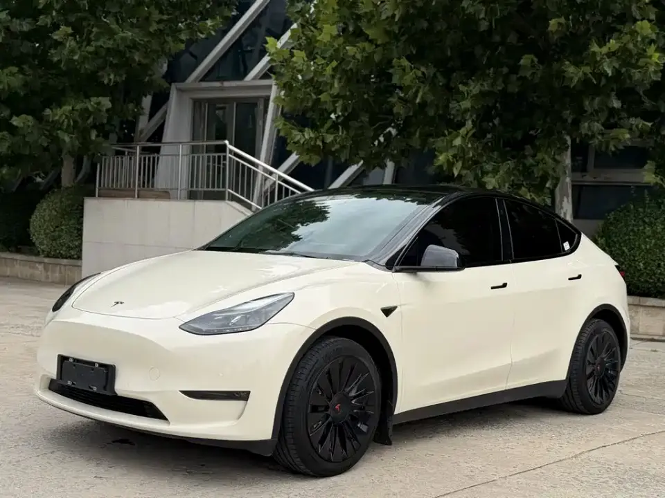 Tesla Model Y Standard Range Rear-Wheel Drive 2021