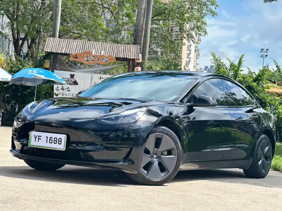 Tesla Model 3 Model Rear-Wheel Drive Version 2022