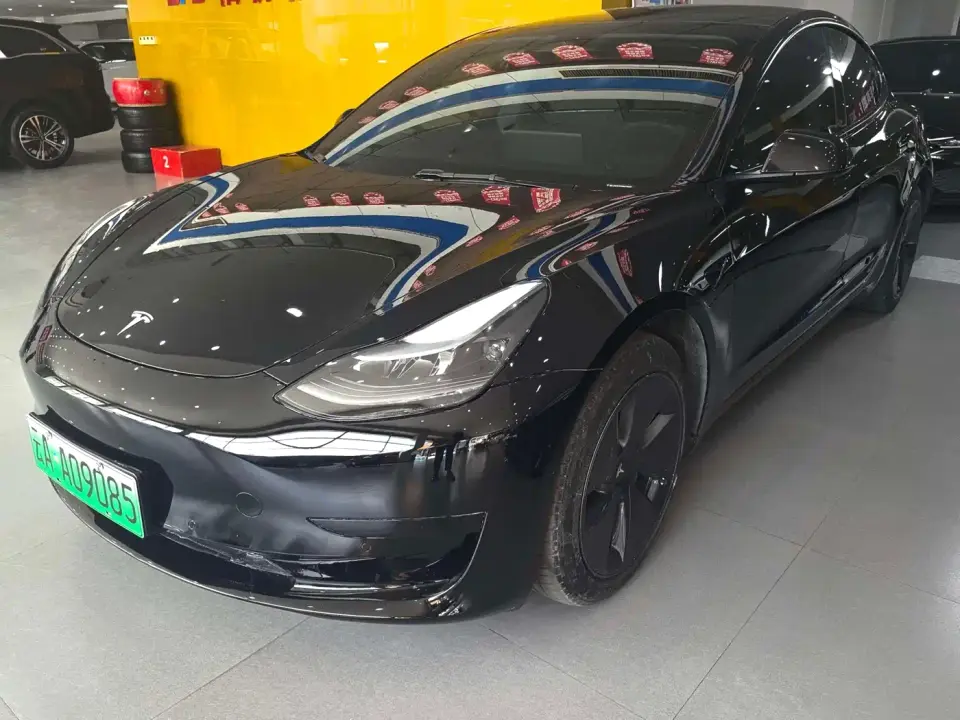 Tesla Model 3 Model Rear-Wheel Drive Version 2023