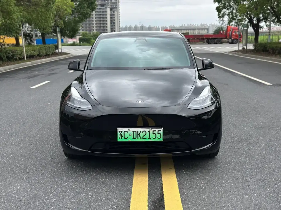 Tesla Model Y Rear-Wheel Drive Version 2022