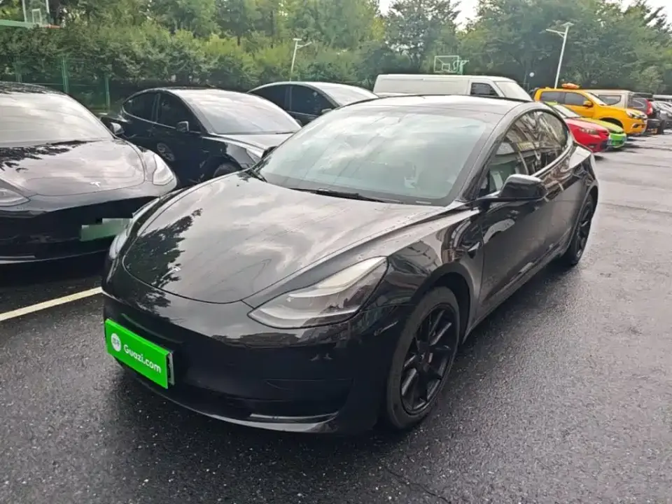 Tesla Model 3 Standard Range Rear-Wheel Drive Upgrade 3D6 2021