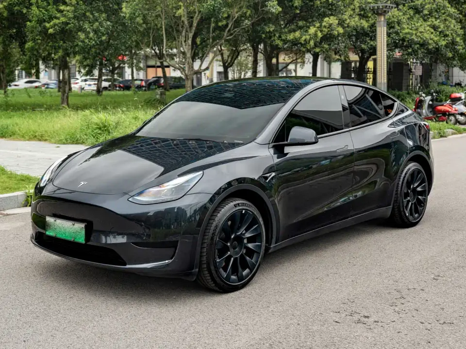 Tesla Model Y Rear-Wheel Drive Version 2024