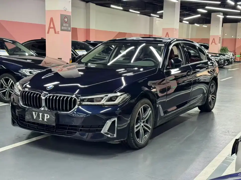BMW 5 Series 530Li Leading Luxury Package 2021