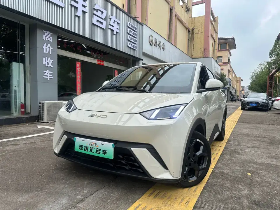 BYD Seagull Smart Drive Edition 305km Freedom Version 2025