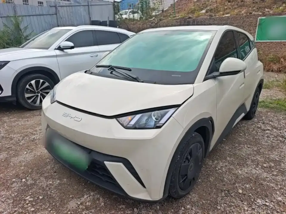 BYD Seagull Glory Edition 305km Vitality Edition 2024
