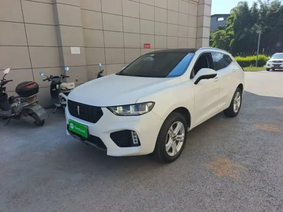 Wey VV5 1.5T 2WD Style Pioneer 2019