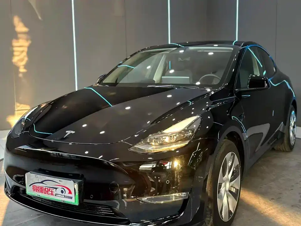 Tesla Model Y Long Range All-Wheel Drive 3D7 2021