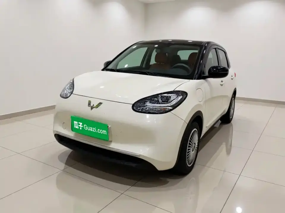 Wuling Motors Wuling Bingo 203km Lite Edition 2025