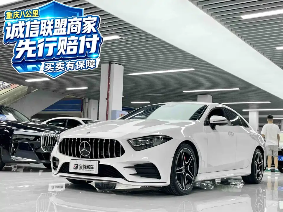 Mercedes-Benz CLS-Class CLS 300 Luxury 2020