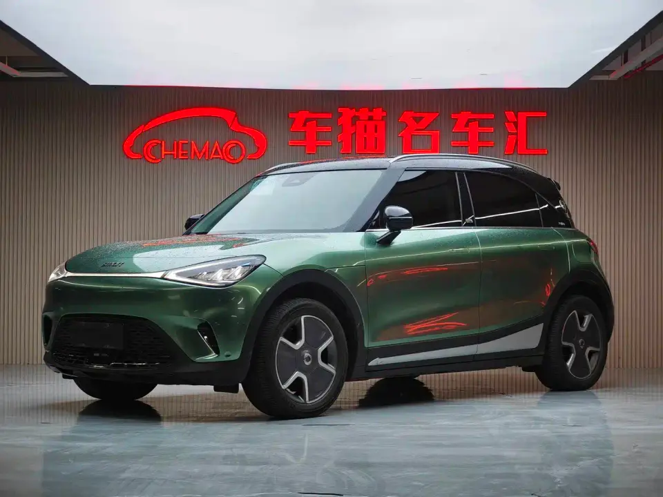 Smart Elf #1 Pro+ Edition 2023