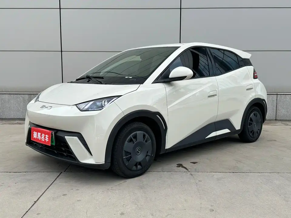 BYD Seagull Glory Edition 305km Vitality Edition 2024