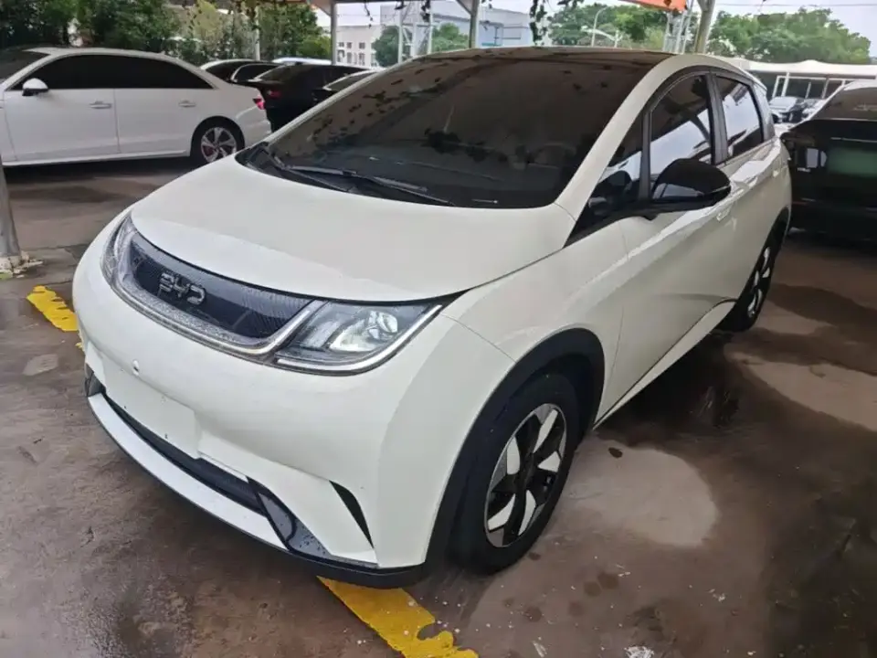 BYD Dolphin 420km Fashion Edition 2024