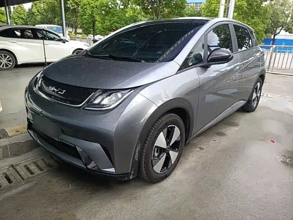 BYD Dolphin 420km Fashion Edition 2024