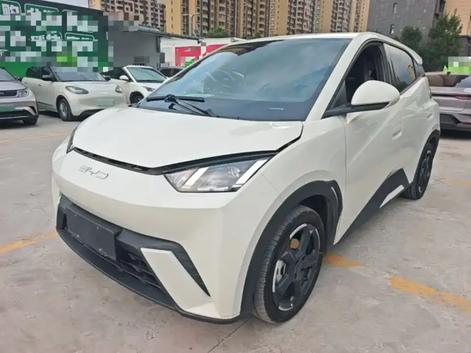BYD Seagull Glory Edition 405km Soaring Edition 2024