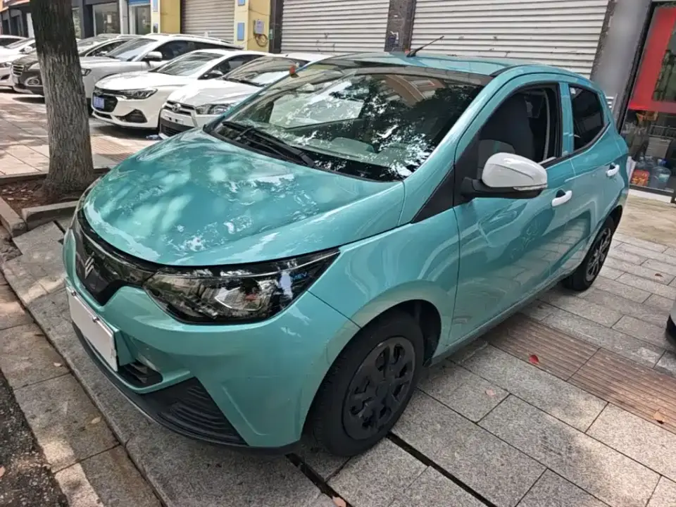 JMCG New Energy Little Kirin Model Lucky Edition 201km Comfort 2024