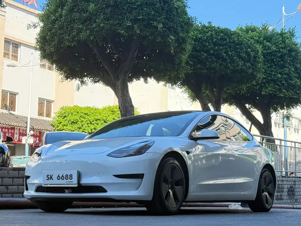 Tesla Model 3 Model Rear-Wheel Drive Version 2023