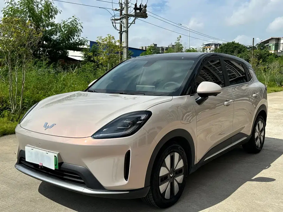 Wuling Motors Wuling Bingo S Model 325km Premium Edition 2026