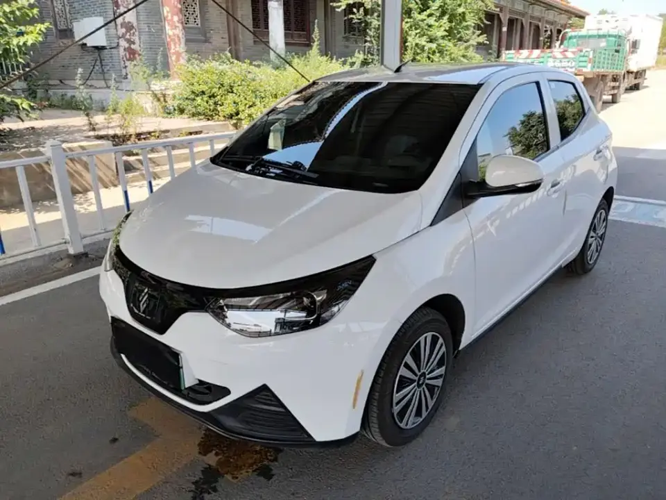 JMCG New Energy Little Kirin Model Lucky Edition 201km Comfort 2024
