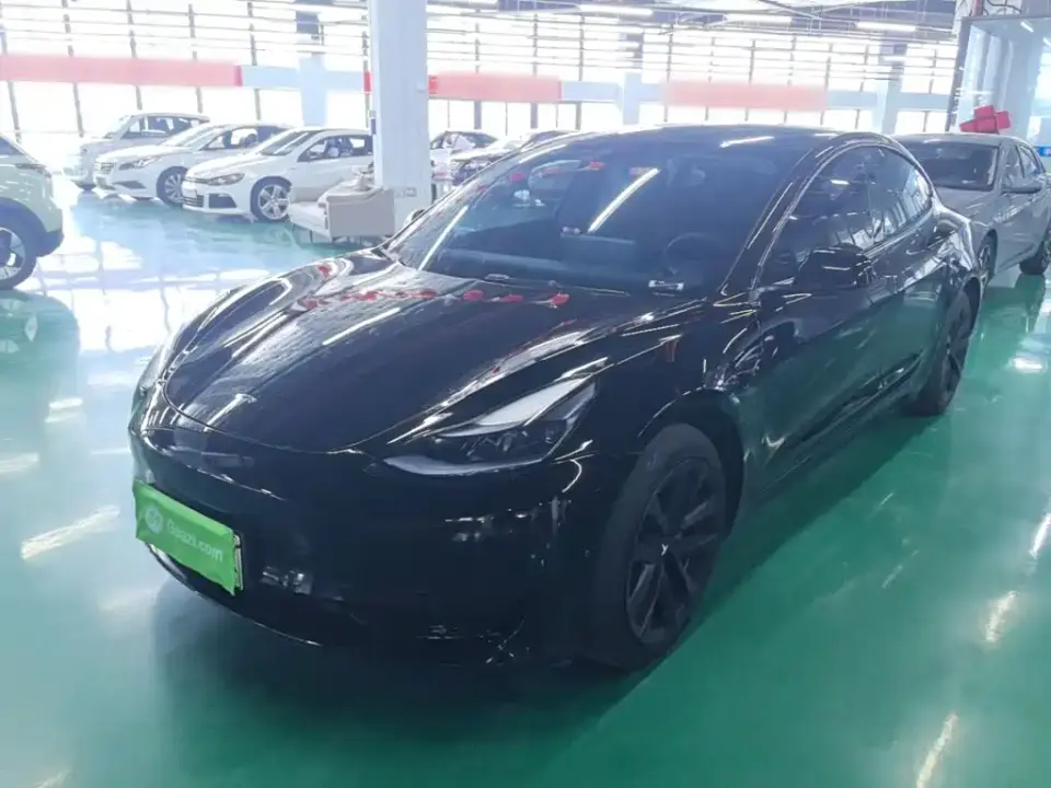 Tesla Model 3 Model Rear-Wheel Drive Version 2023
