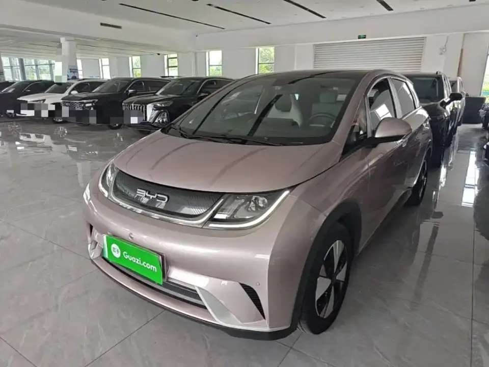 BYD Dolphin 420km Fashion Edition 2023