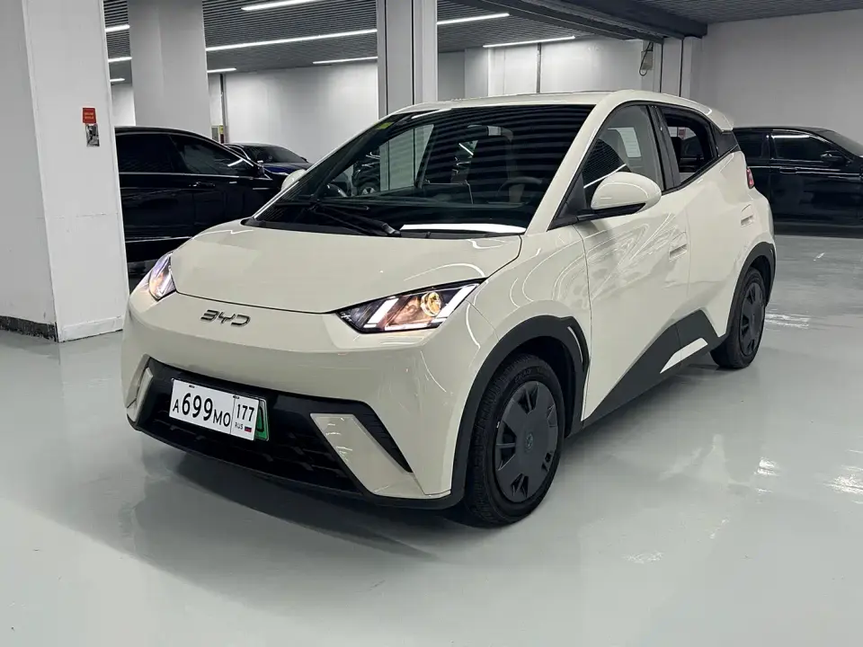 BYD Seagull 305km Vitality 2025