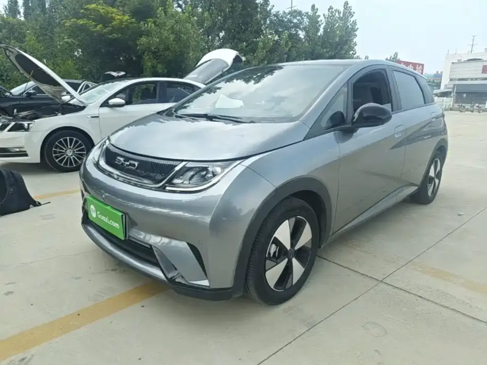 BYD Dolphin 420km Fashion Edition 2023