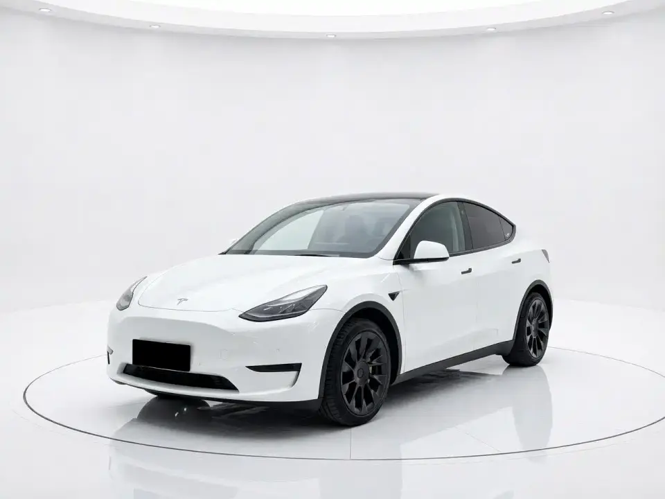 Tesla Model Y Rear-Wheel Drive Version 2022