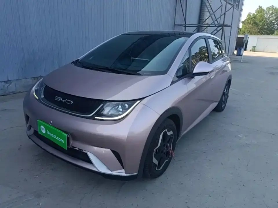 BYD Dolphin Model 405km Fashion Edition 2022