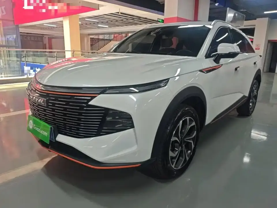 Haval Shenshou 1.5T Smart Enjoyment Edition 2023