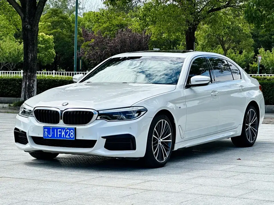 BMW 5 Series 530Li Leading M Sport Package 2020