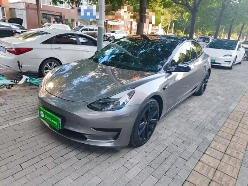 Tesla Model 3 Facelift Standard Range RWD Upgrade 3D1 2021