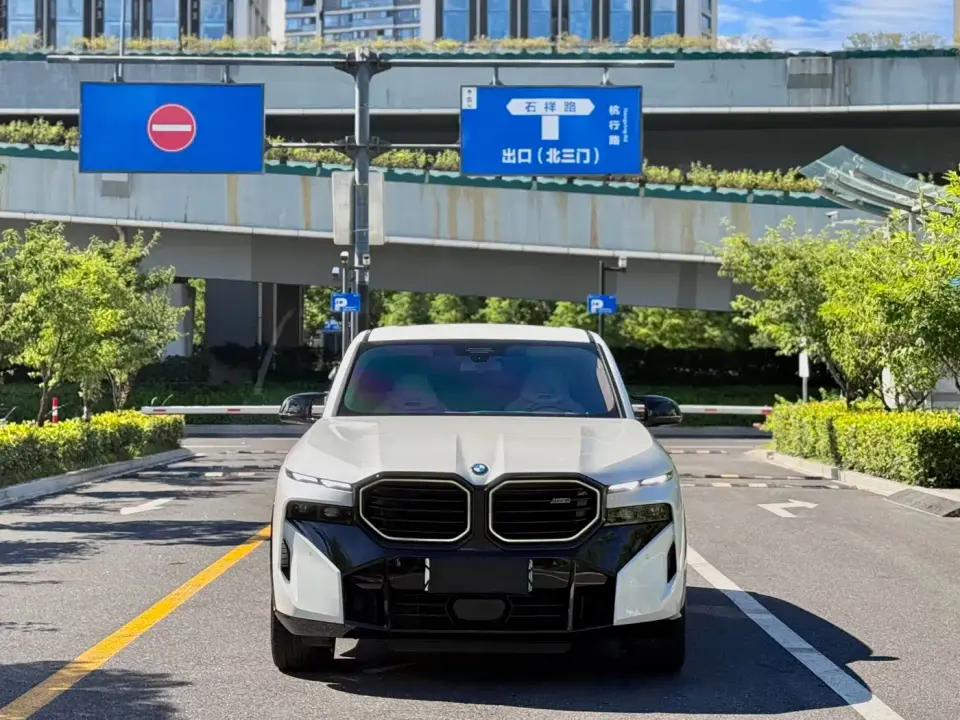 BMW XM 50e 2025