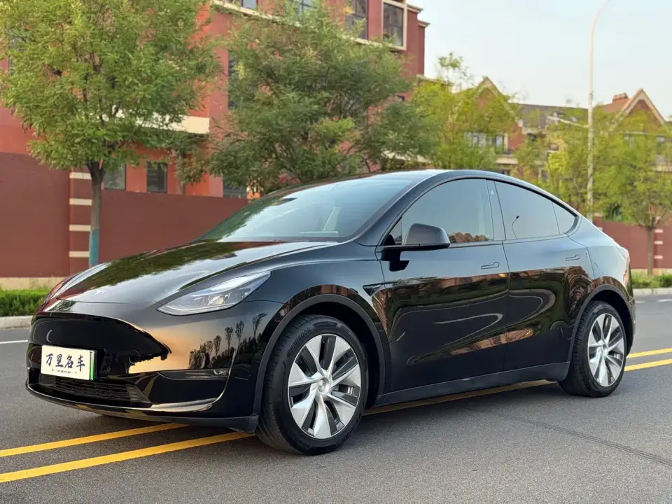 Tesla Model Y Standard Range Rear-Wheel Drive 2021