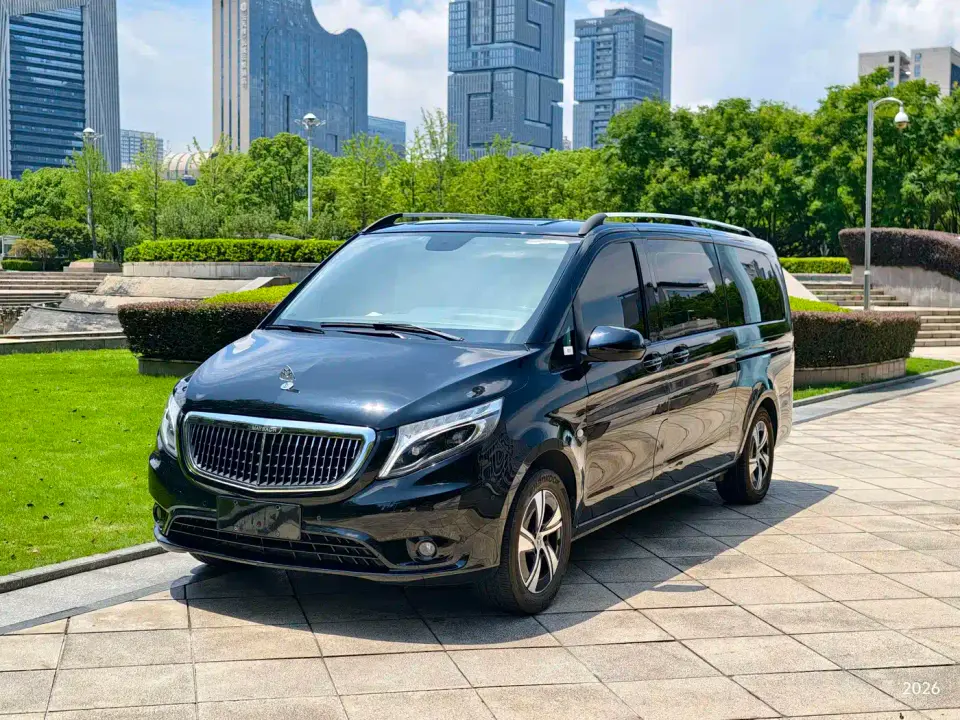 Mercedes-Benz Vito 2.0T Business Edition China VI 2020