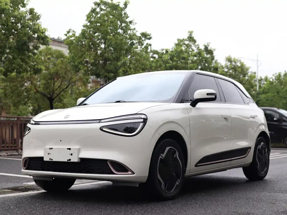 Dongfeng Yipai Nano 01 330 Plus Smart+ 2024