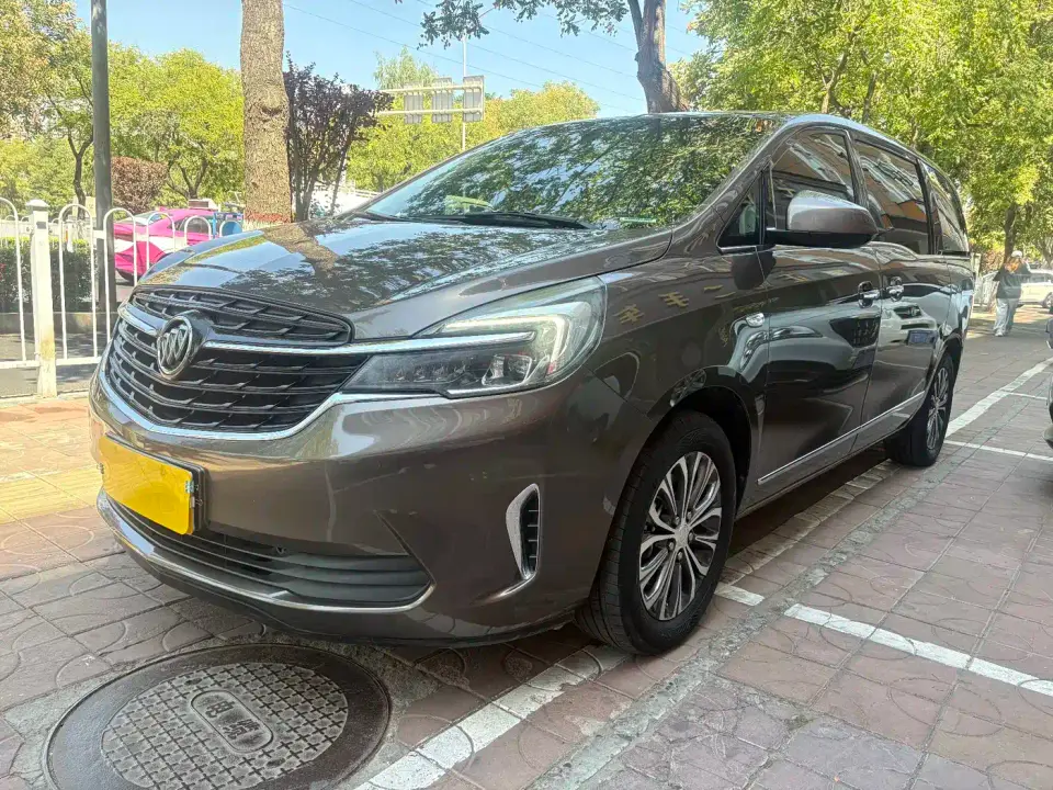 Buick GL8 Land Business Class 652T Luxury 2021