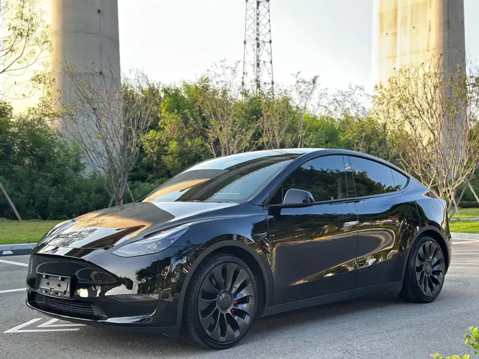 Tesla Model Y Performance High-Performance All-Wheel Drive Version 2022