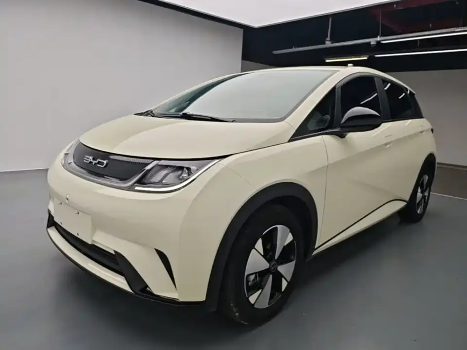 BYD Dolphin 420km Freedom Edition 2024