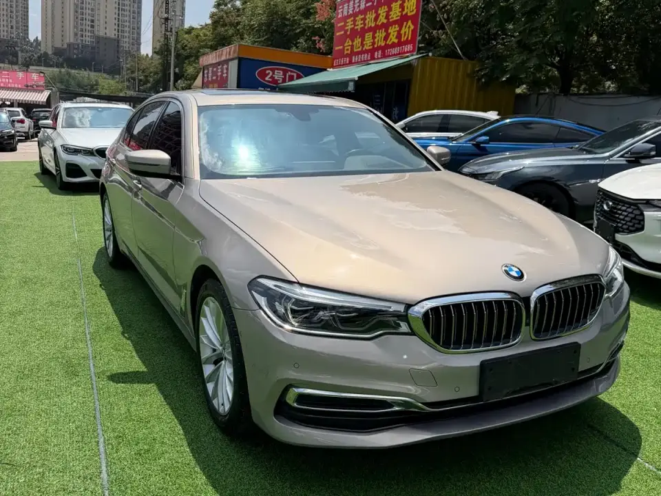 BMW 5 Series 530Li Premium Luxury Package 2020