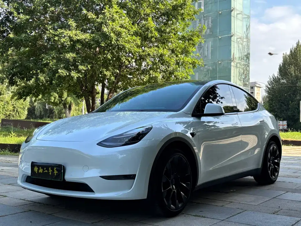 Tesla Model Y Long Range All-Wheel Drive 3D7 2021