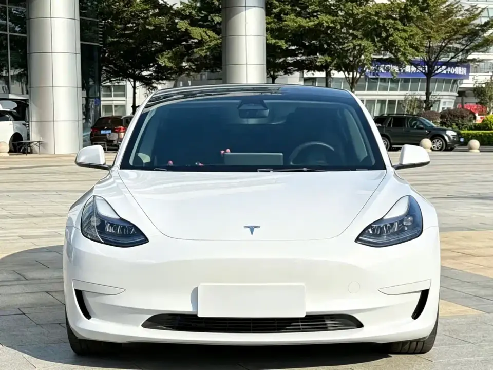 Tesla Model 3 Model Rear-Wheel Drive Version 2022