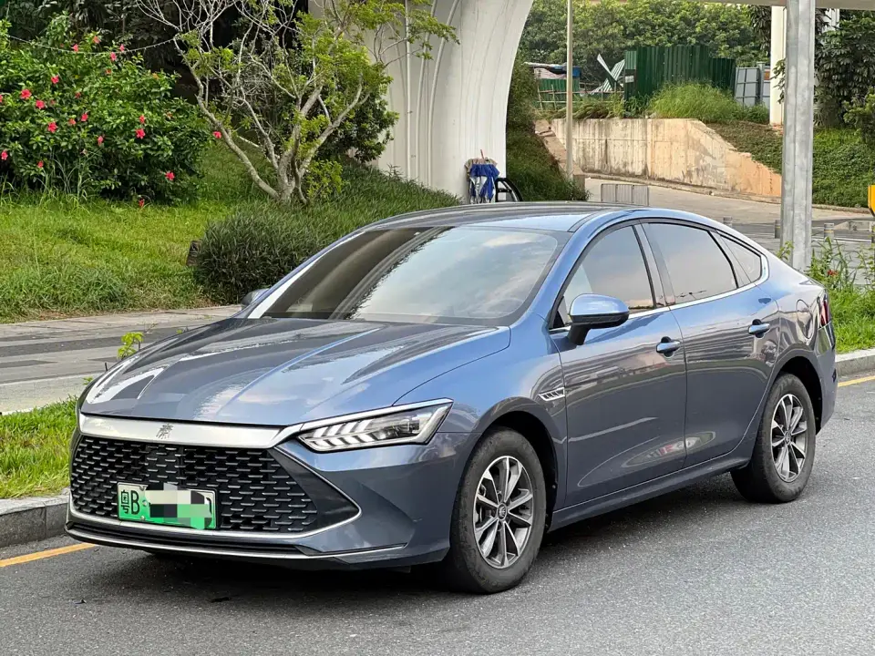 BYD Qin PLUS Glory Edition DM-i 55KM Leading 2024